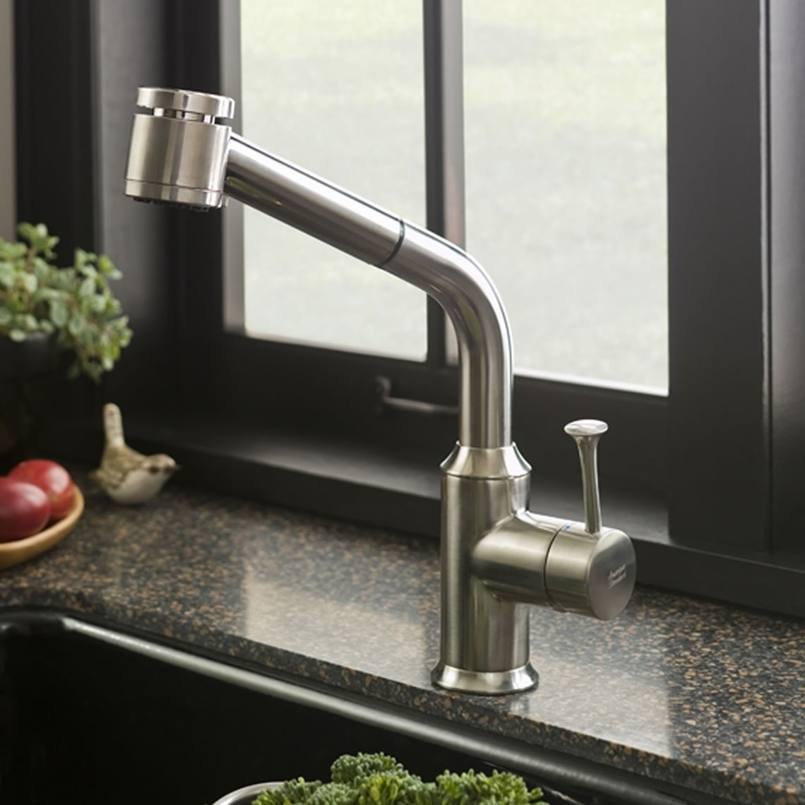 American Standard Faucet