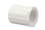 PVC Schedule 40 Female Adapters