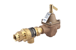 Backflow Valves 