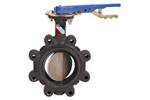 Butterfly Valves 