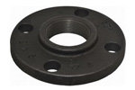 Companion Flanges